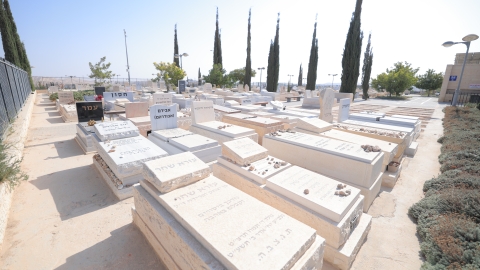 192A2402.JPG